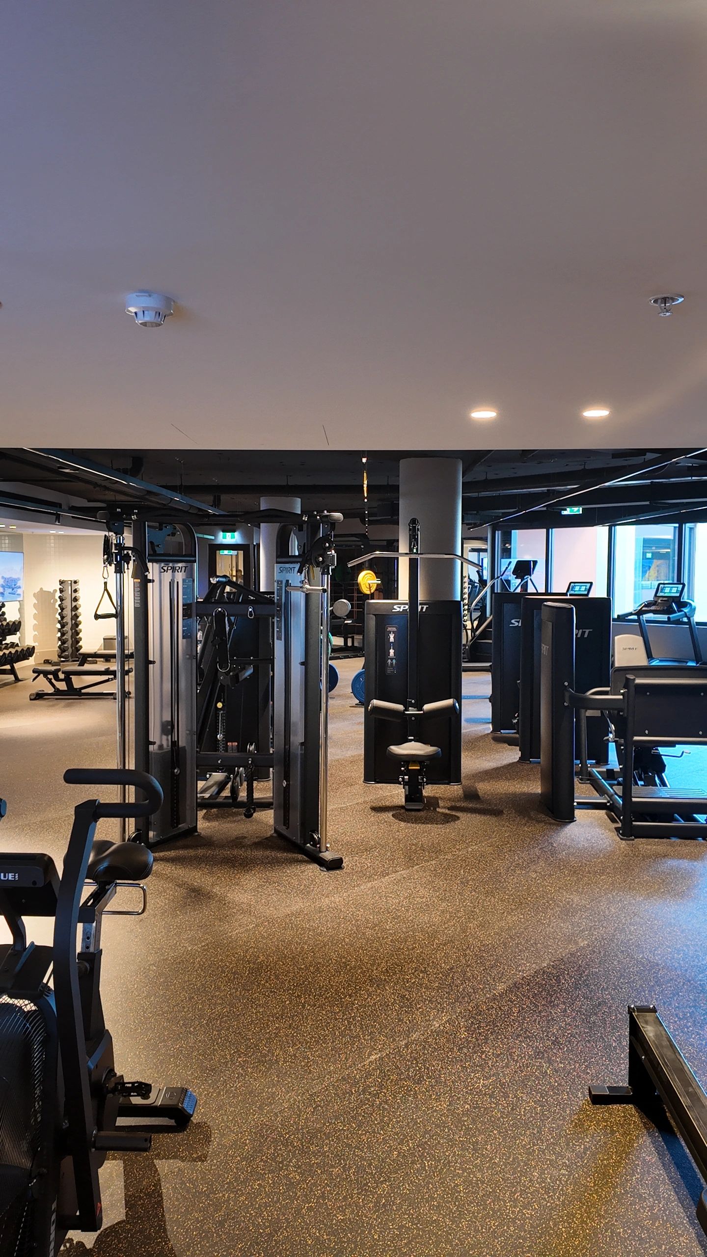Triumph gym installation — professional gym interior with strength training machines